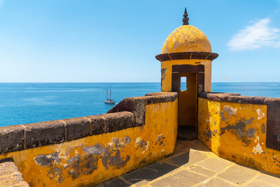 Full day Funchal: Old town, cable car & monte